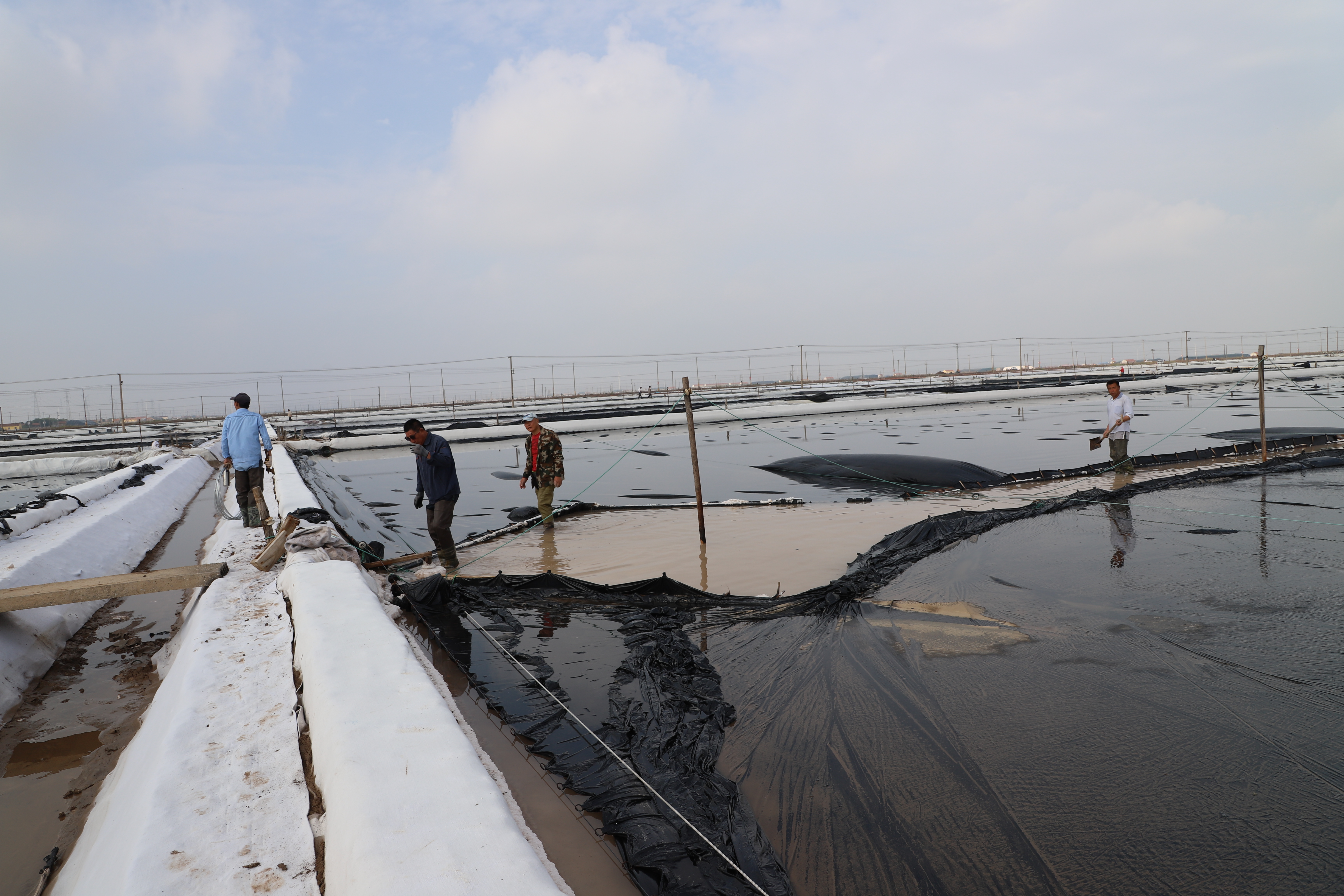 IMG_0486.JPG IMG_0486.JPG