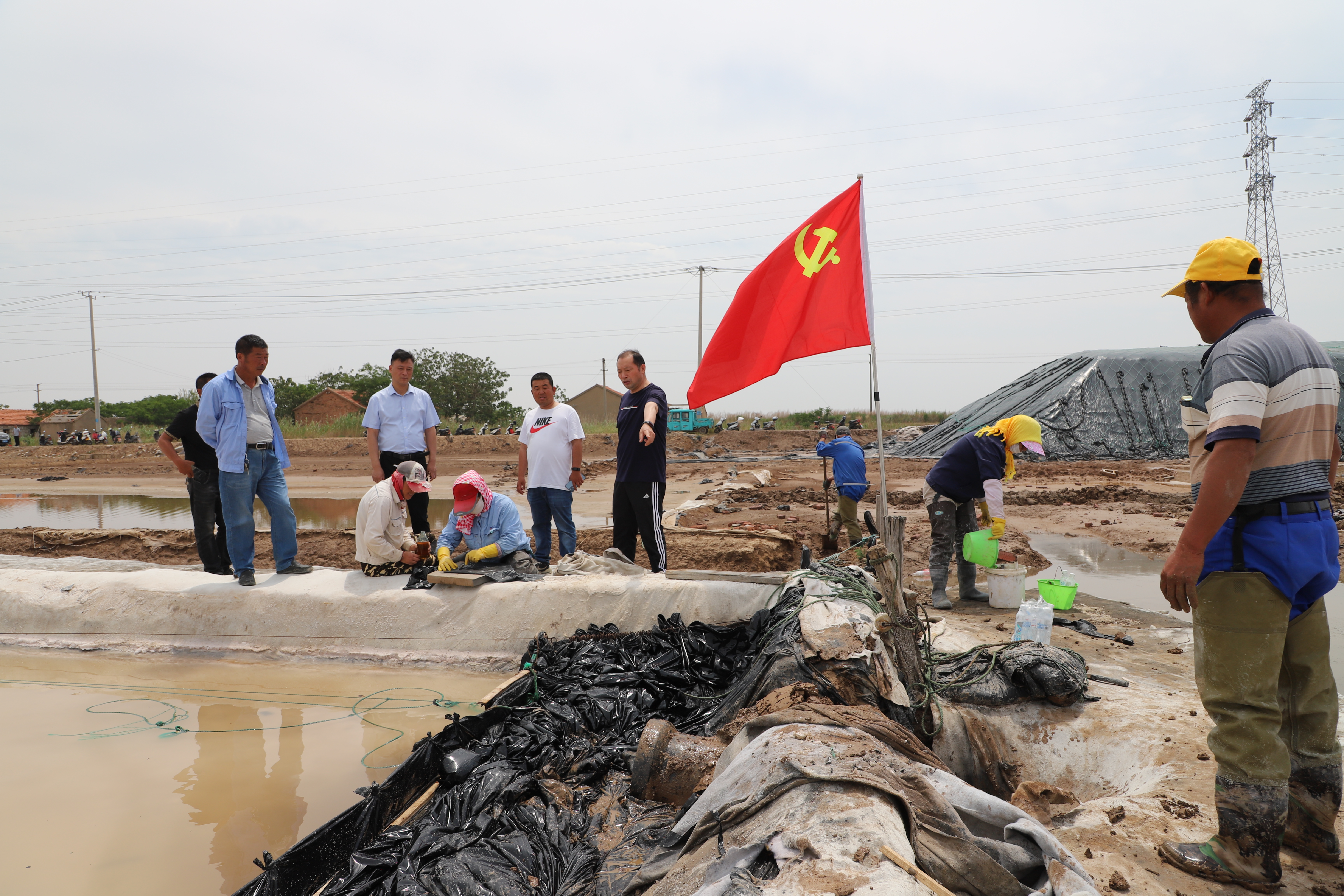 IMG_0610.JPG IMG_0610.JPG