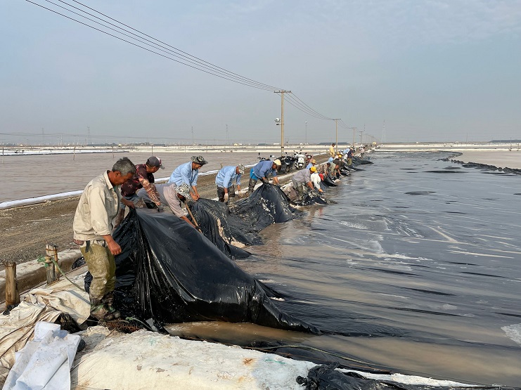 Cache_1bedb1d4e3f12a90.jpg Cache_1bedb1d4e3f12a90.jpg